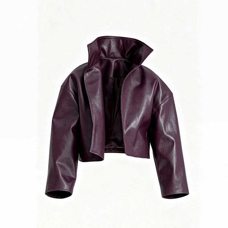 Fashion Solid Women's Jacket Stand Collar Zip Short Oversize Long Sleeves Loose Chic Top 2026 Autumn New High Street Daily Wear